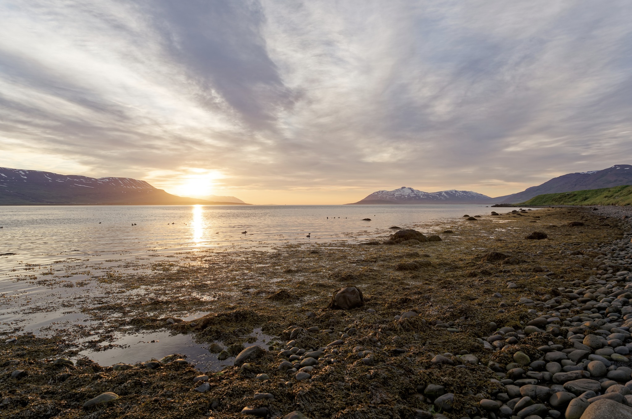 Ísland og ESB – sérstaða og aðildarviðræður – Alþjóðamál og utanríkismál